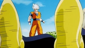 Dragon Ball Z Songo rezygnuje