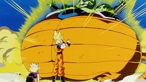 Dragon Ball Z Poświęcenie