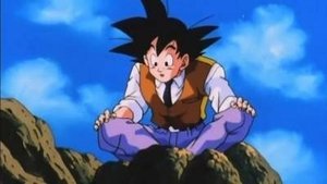 Dragon Ball Z Odnalezione szczęście