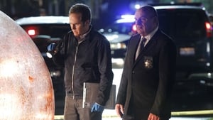 CSI: Kryminalne zagadki Las Vegas Bezbronny