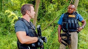 Hawaii 5.0 Odcinek 12