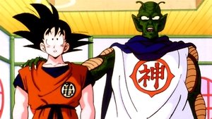 Dragon Ball Z Zwycięstwo