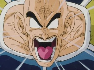 Dragon Ball Z Zawieszenie broni