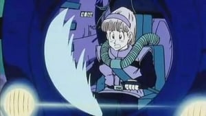 Dragon Ball Z Rozpacz Bulmy