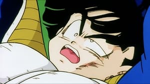 Dragon Ball Z Riposta Son Gokana