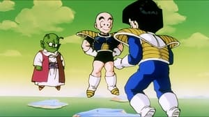 Dragon Ball Z Magiczne słowa