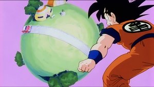 Dragon Ball Z Koniec podróży