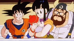 Dragon Ball Z Urodziny Son Gokana