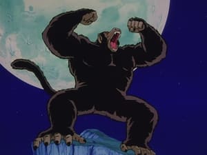 Dragon Ball Z Metamorfoza Songohana