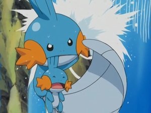 Pokémon Misja Mudkip