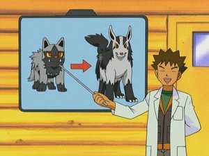 Pokémon To warto zapamiętać
