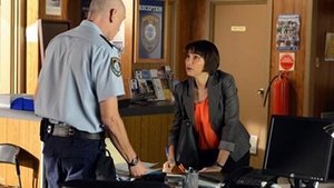 Home and Away Odcinek 217