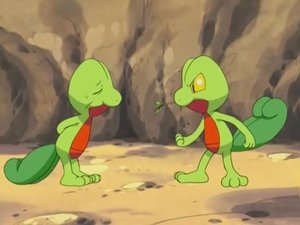 Pokémon Troje to już tłum