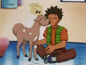 Pokémon Mały wielki róg