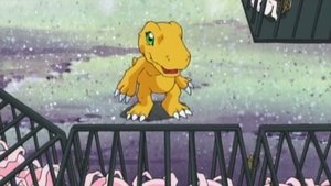 Digimon: Digital Monsters Odcinek 15