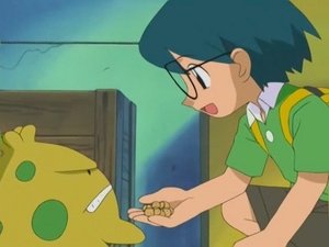 Pokémon Oswoić Shroomish'a