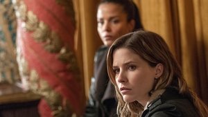 Chicago P.D. Własne sposoby