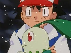 Pokémon Ocalić Chikoritę