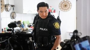 Hawaii 5.0 Odcinek 13