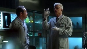 CSI: Kryminalne zagadki Las Vegas Żona właściciela kasyna
