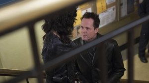 Brooklyn 9-9 Operacja „Złamane pióro”