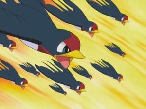 Pokémon Trzymaj się, Taillow!