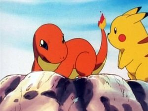 Pokémon Charmander, zabłąkany Pokémon