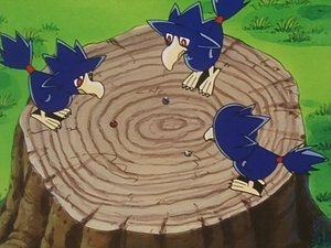 Pokémon Wszystkie te błyskotki