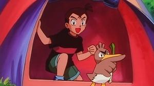 Pokémon Niezwykły kuchmistrz Farfetch’d