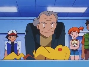 Pokémon Tłumacz Pokémon