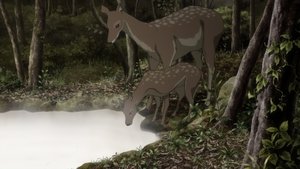 Mushishi Dolina pływowa
