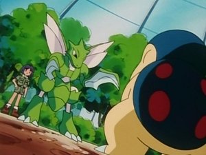 Pokémon Pogonić robala