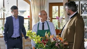 Die Rosenheim-Cops Odcinek 9