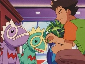 Pokémon Zabawa w chowanego