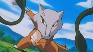 Pokémon Gra o wszystko