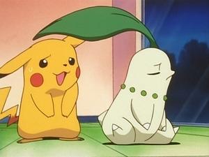 Pokémon Wielki smutek Chikority