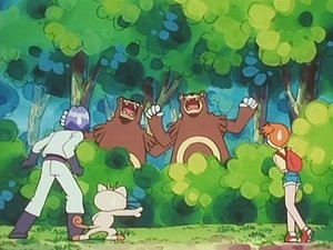 Pokémon Las dla zuchwałych