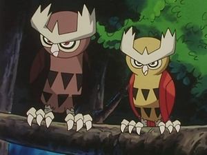 Pokémon Gra ptaków!