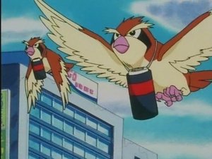 Pokémon Rodzinna tradycja