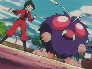 Pokémon Mocna pajęczyna