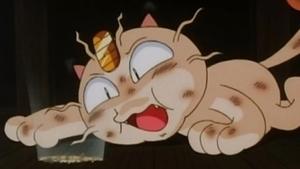 Pokémon Idź na zachód, Meowth