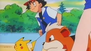 Pokémon Akcja K-9