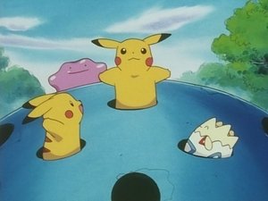 Pokémon Mały wielki Pokémon