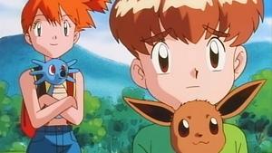 Pokémon Walczący bracia Eevee