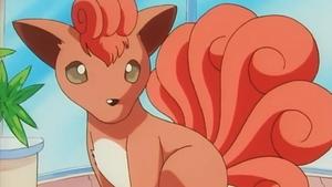 Pokémon Główna Aleja Wychowawców