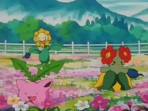 Pokémon Lekcja trawiastego Pokémona