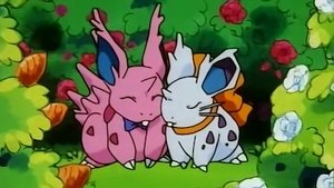 Pokémon Wielka miłość Pokémon