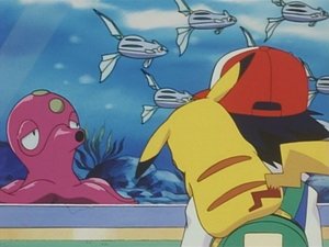 Pokémon Problemy z Octillery