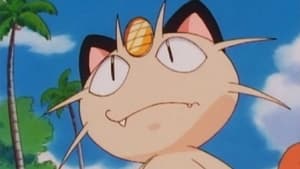 Pokémon Czysta plaża na Blastoise