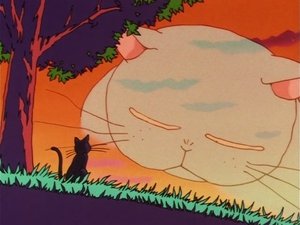 Czarodziejka z Księżyca Koszmarny dzień Luny